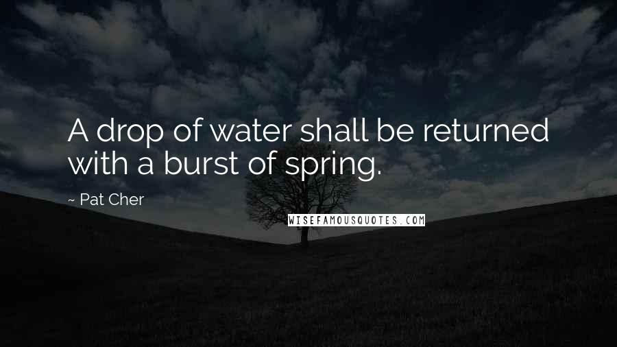 Pat Cher Quotes: A drop of water shall be returned with a burst of spring.