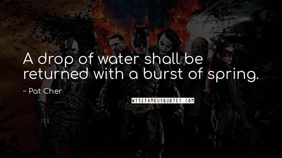 Pat Cher Quotes: A drop of water shall be returned with a burst of spring.