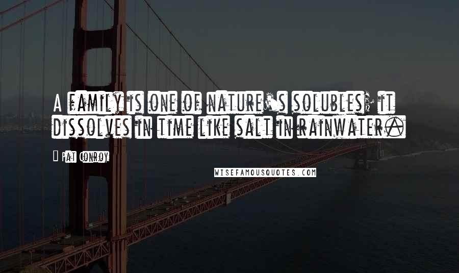 Pat Conroy Quotes: A family is one of nature's solubles; it dissolves in time like salt in rainwater.