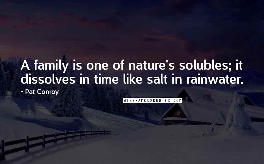 Pat Conroy Quotes: A family is one of nature's solubles; it dissolves in time like salt in rainwater.