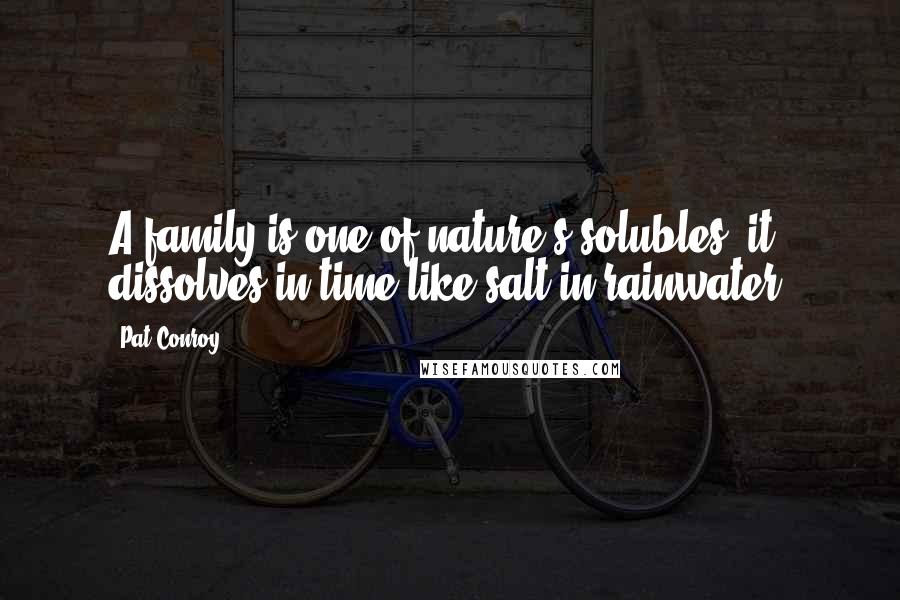 Pat Conroy Quotes: A family is one of nature's solubles; it dissolves in time like salt in rainwater.