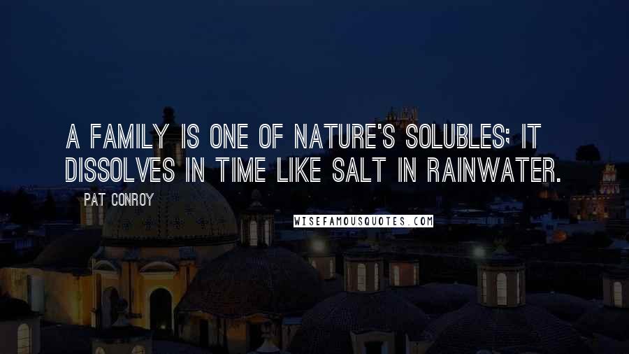 Pat Conroy Quotes: A family is one of nature's solubles; it dissolves in time like salt in rainwater.