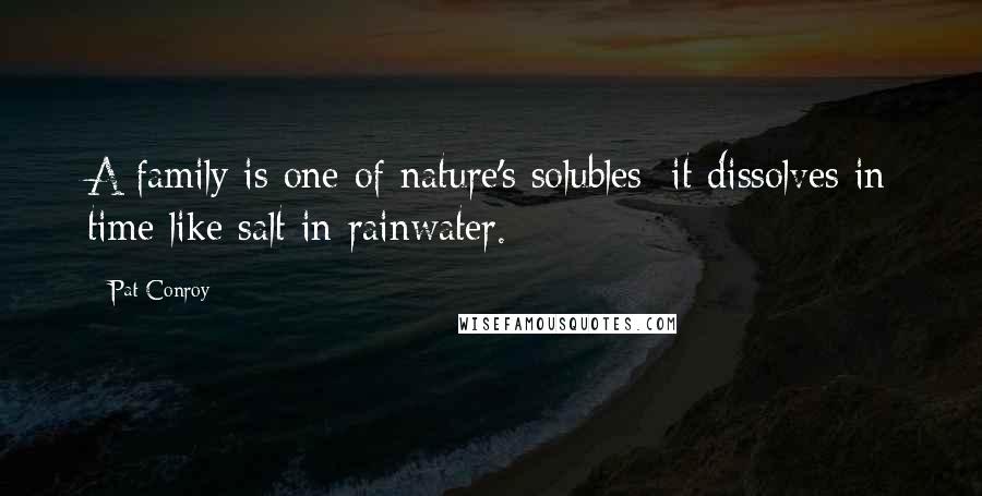 Pat Conroy Quotes: A family is one of nature's solubles; it dissolves in time like salt in rainwater.