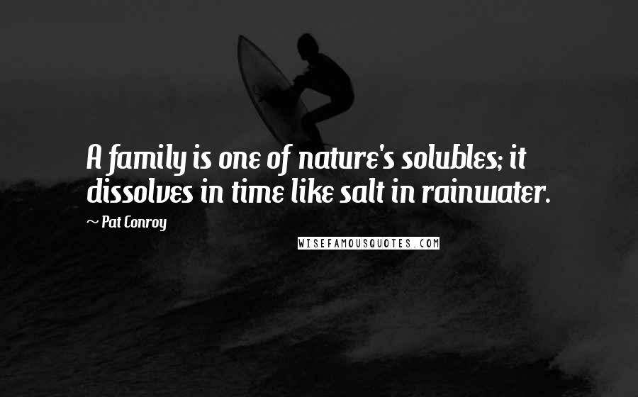 Pat Conroy Quotes: A family is one of nature's solubles; it dissolves in time like salt in rainwater.