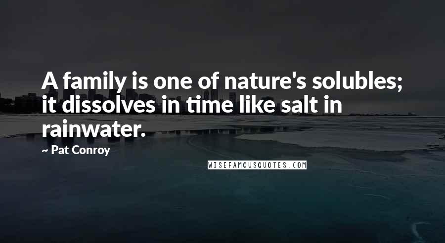 Pat Conroy Quotes: A family is one of nature's solubles; it dissolves in time like salt in rainwater.