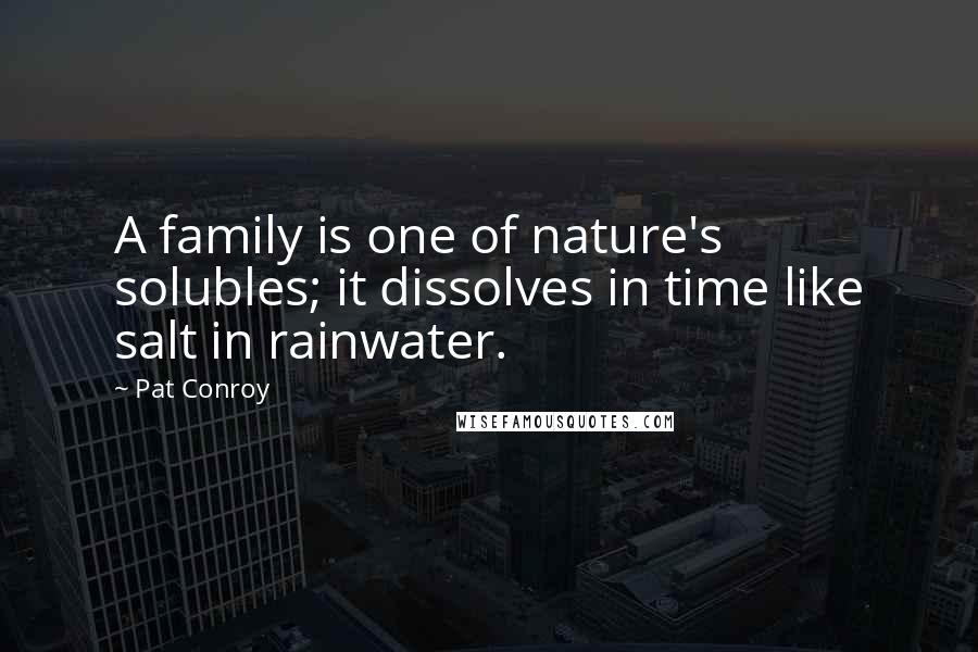Pat Conroy Quotes: A family is one of nature's solubles; it dissolves in time like salt in rainwater.