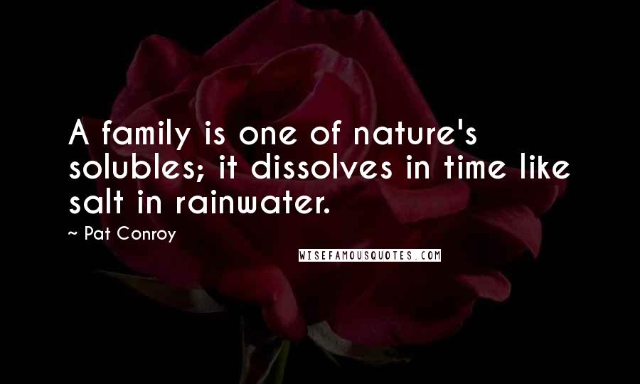 Pat Conroy Quotes: A family is one of nature's solubles; it dissolves in time like salt in rainwater.