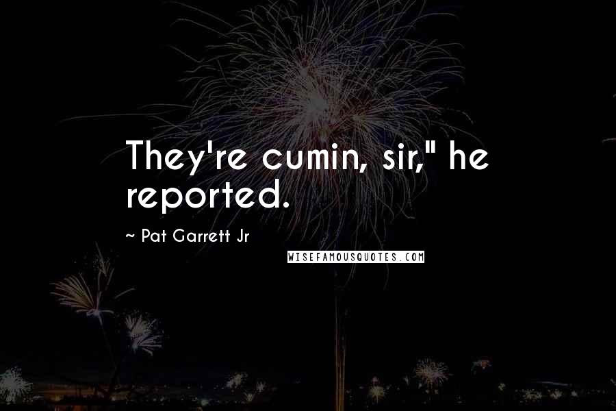 Pat Garrett Jr Quotes: They're cumin, sir," he reported.