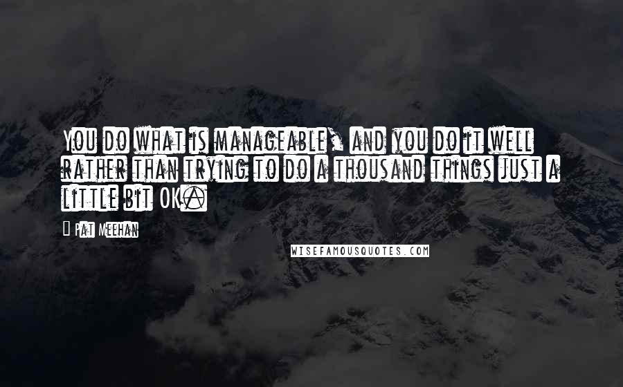 Pat Meehan Quotes: You do what is manageable, and you do it well rather than trying to do a thousand things just a little bit OK.