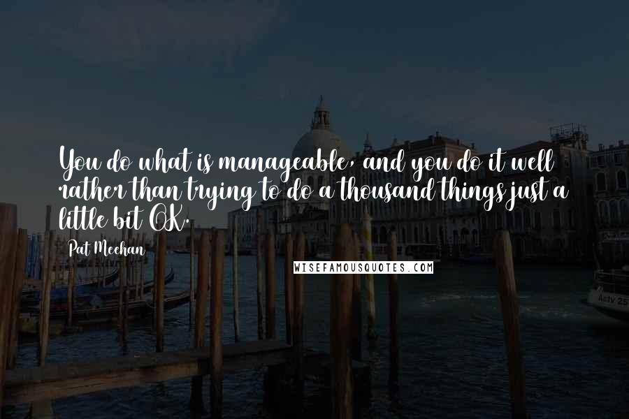 Pat Meehan Quotes: You do what is manageable, and you do it well rather than trying to do a thousand things just a little bit OK.