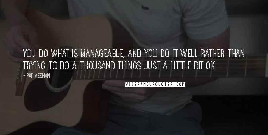 Pat Meehan Quotes: You do what is manageable, and you do it well rather than trying to do a thousand things just a little bit OK.