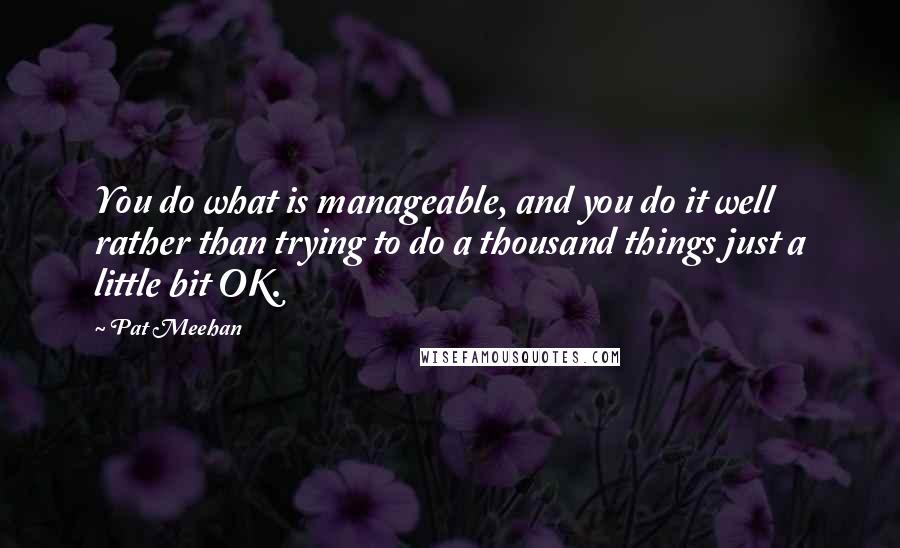 Pat Meehan Quotes: You do what is manageable, and you do it well rather than trying to do a thousand things just a little bit OK.