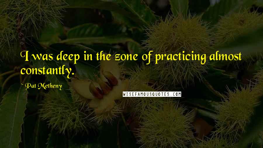 Pat Metheny Quotes: I was deep in the zone of practicing almost constantly.