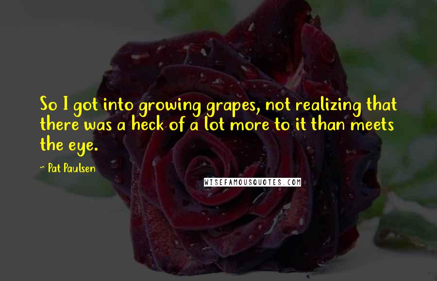 Pat Paulsen Quotes: So I got into growing grapes, not realizing that there was a heck of a lot more to it than meets the eye.