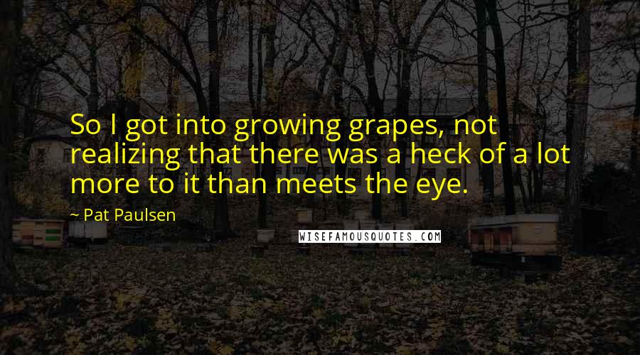 Pat Paulsen Quotes: So I got into growing grapes, not realizing that there was a heck of a lot more to it than meets the eye.