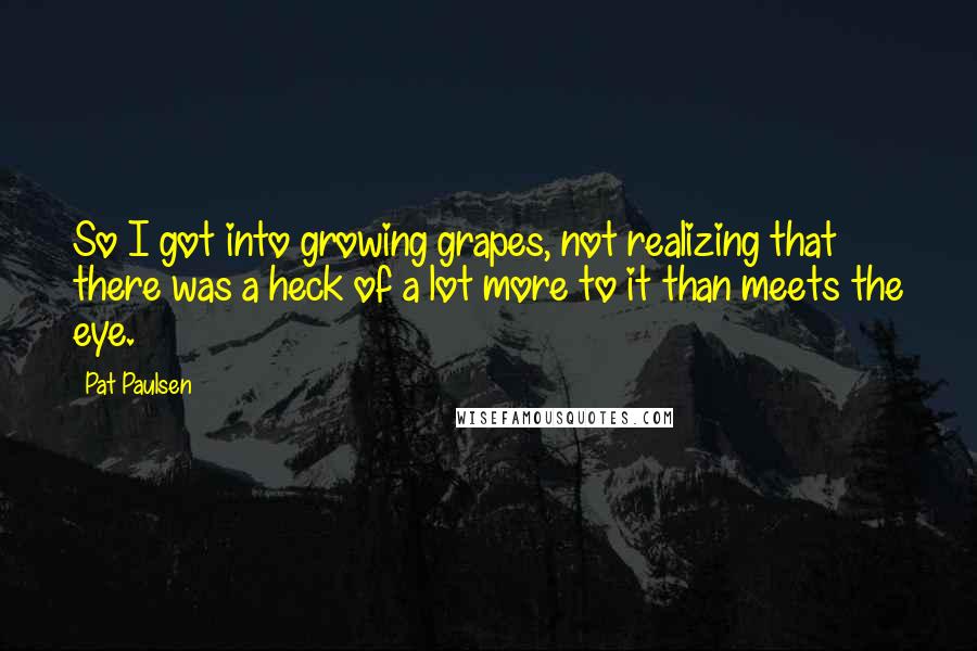 Pat Paulsen Quotes: So I got into growing grapes, not realizing that there was a heck of a lot more to it than meets the eye.