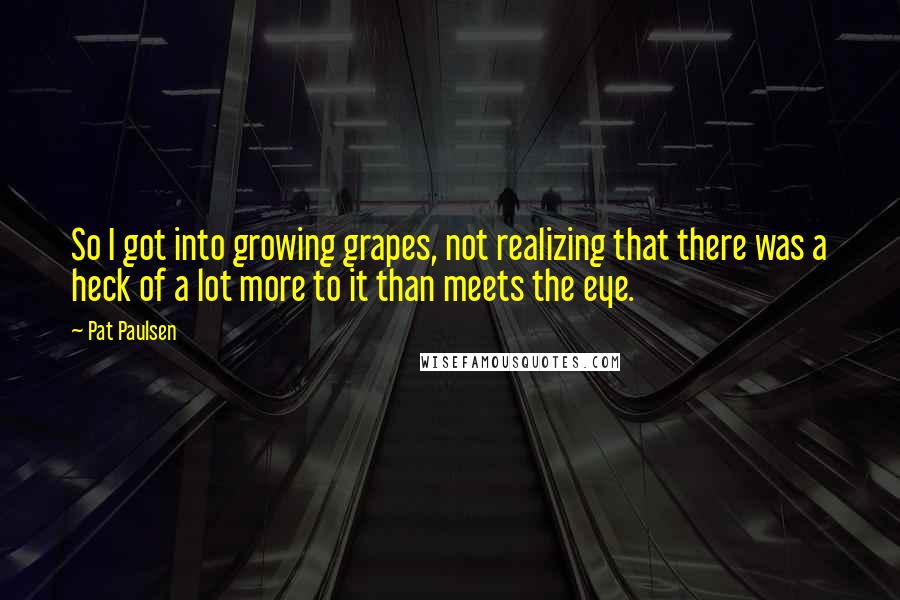 Pat Paulsen Quotes: So I got into growing grapes, not realizing that there was a heck of a lot more to it than meets the eye.