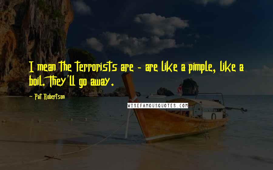 Pat Robertson Quotes: I mean the terrorists are - are like a pimple, like a boil. They'll go away.