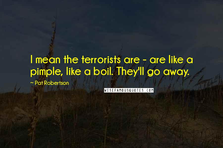 Pat Robertson Quotes: I mean the terrorists are - are like a pimple, like a boil. They'll go away.