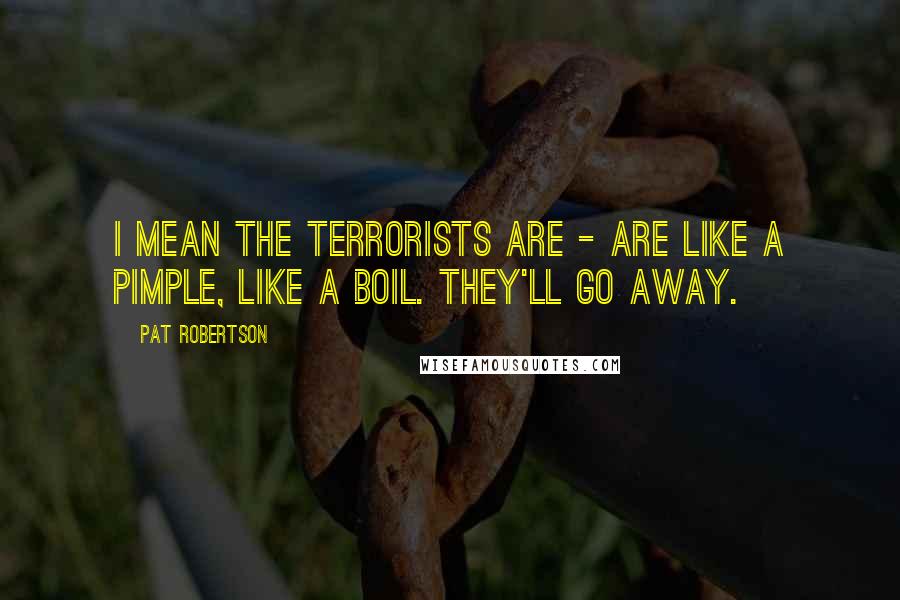 Pat Robertson Quotes: I mean the terrorists are - are like a pimple, like a boil. They'll go away.