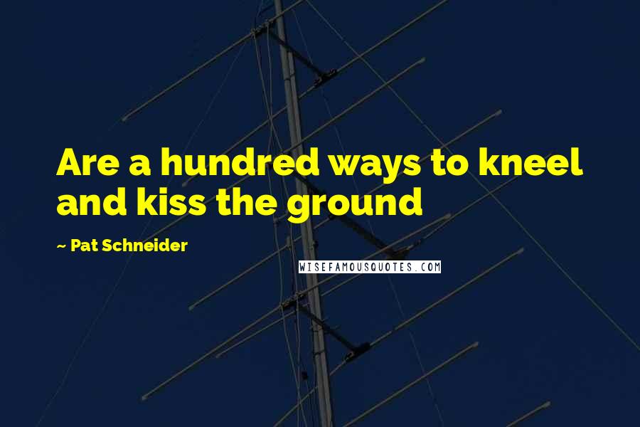 Pat Schneider Quotes: Are a hundred ways to kneel and kiss the ground