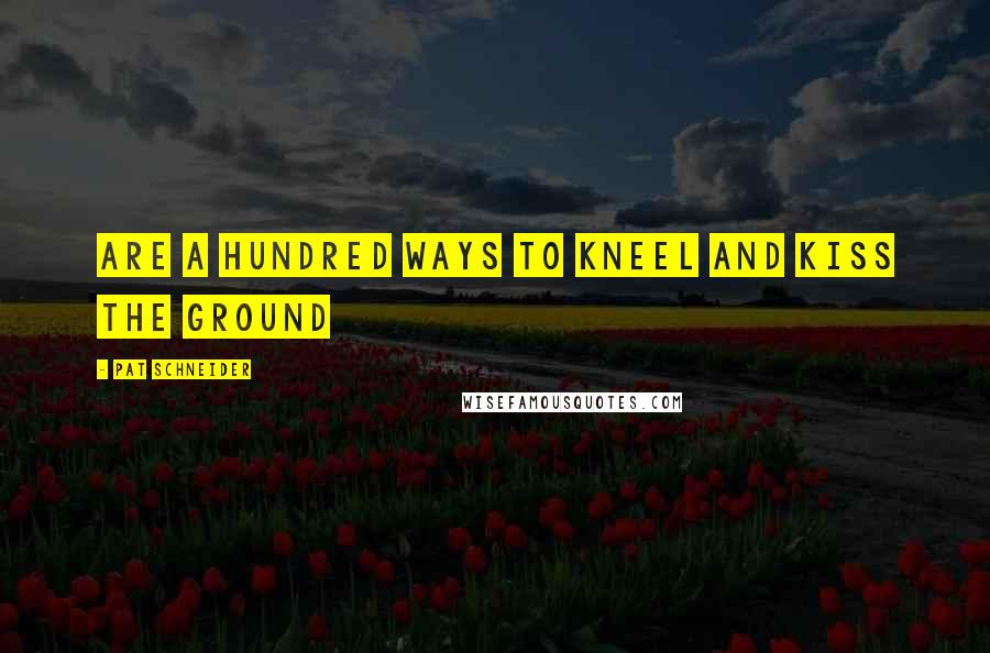 Pat Schneider Quotes: Are a hundred ways to kneel and kiss the ground