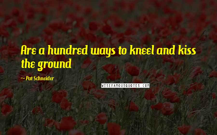 Pat Schneider Quotes: Are a hundred ways to kneel and kiss the ground