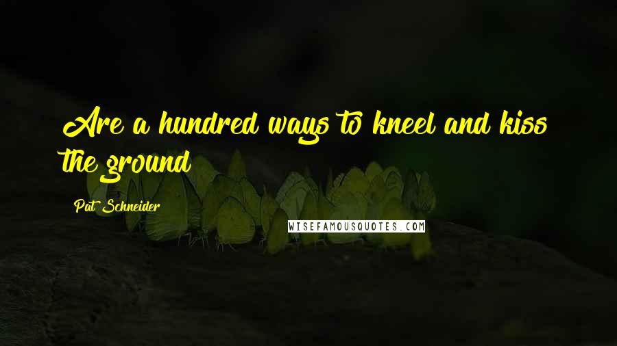 Pat Schneider Quotes: Are a hundred ways to kneel and kiss the ground