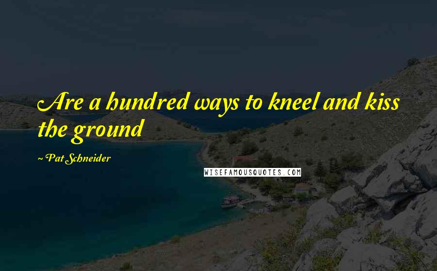 Pat Schneider Quotes: Are a hundred ways to kneel and kiss the ground