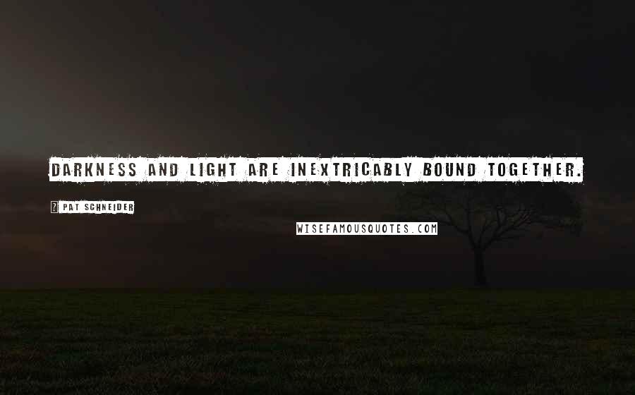 Pat Schneider Quotes: Darkness and light are inextricably bound together.