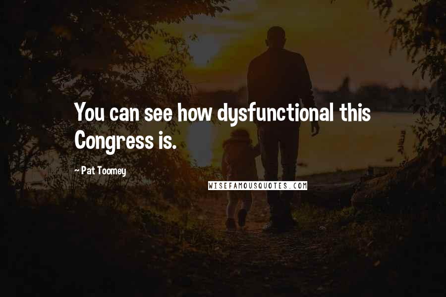 Pat Toomey Quotes: You can see how dysfunctional this Congress is.