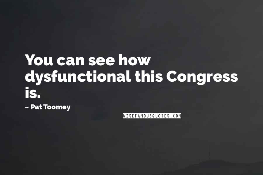 Pat Toomey Quotes: You can see how dysfunctional this Congress is.