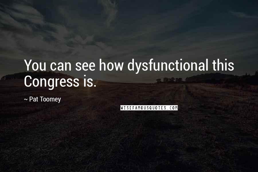 Pat Toomey Quotes: You can see how dysfunctional this Congress is.