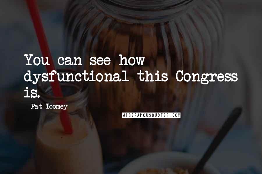 Pat Toomey Quotes: You can see how dysfunctional this Congress is.