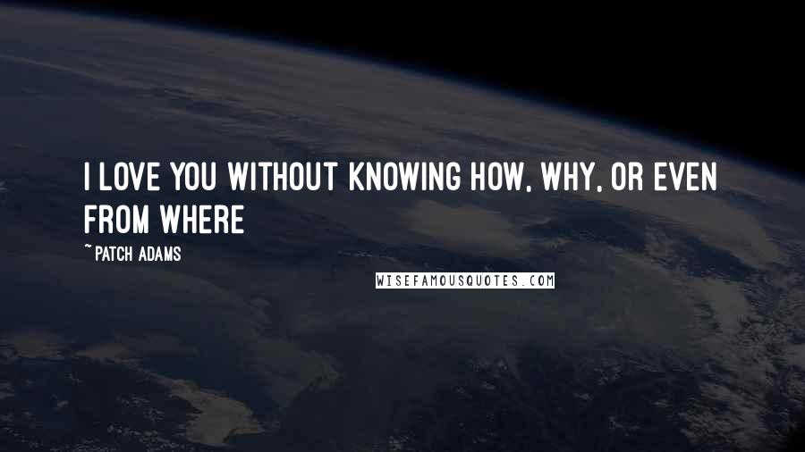 Patch Adams Quotes: I love you without knowing how, why, or even from where