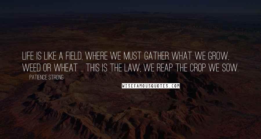 Patience Strong Quotes: Life is like a field, where we must gather what we grow, weed or wheat ... this is the law, we reap the crop we sow.