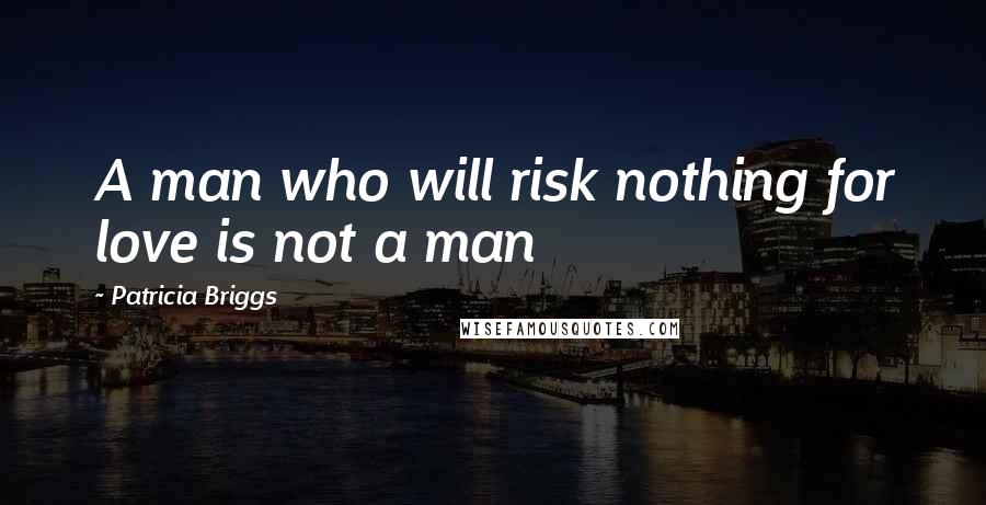 Patricia Briggs Quotes: A man who will risk nothing for love is not a man