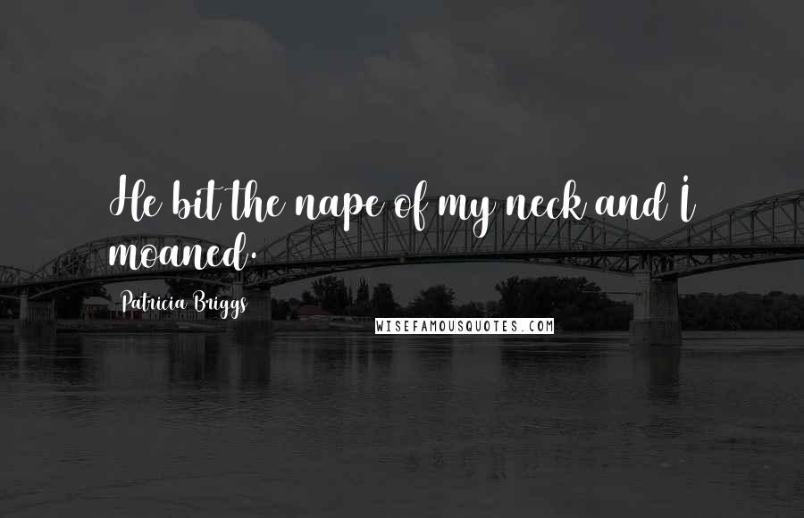Patricia Briggs Quotes: He bit the nape of my neck and I moaned.