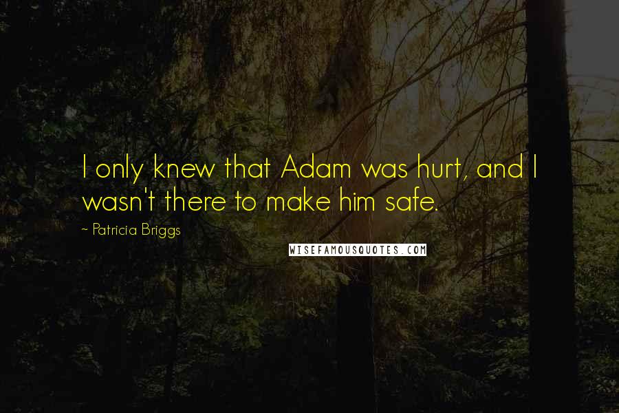 Patricia Briggs Quotes: I only knew that Adam was hurt, and I wasn't there to make him safe.