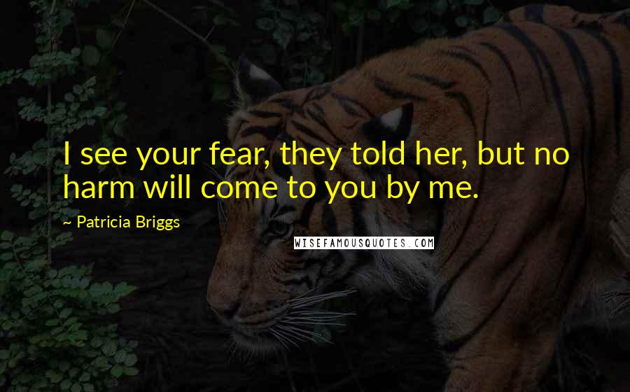 Patricia Briggs Quotes: I see your fear, they told her, but no harm will come to you by me.
