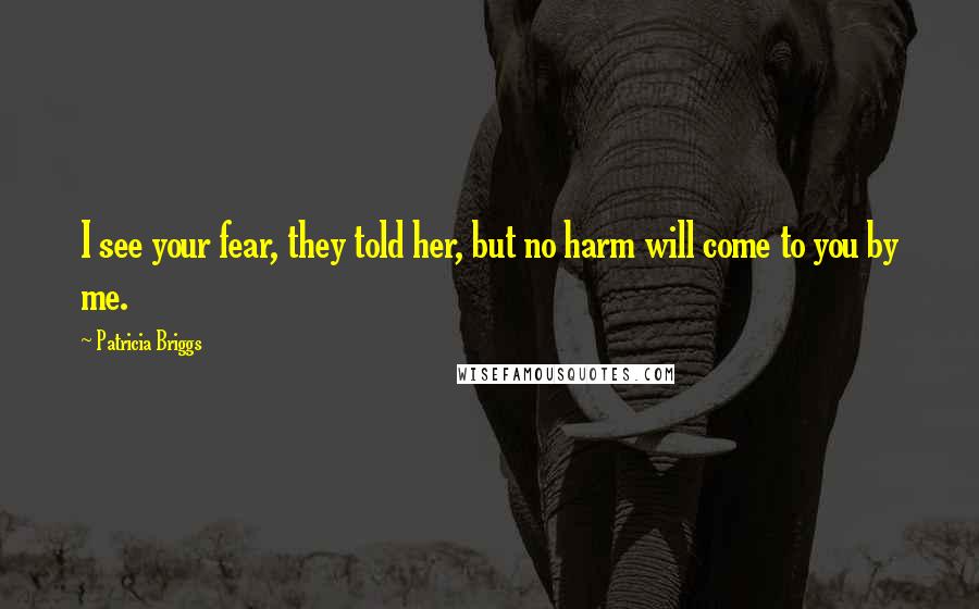 Patricia Briggs Quotes: I see your fear, they told her, but no harm will come to you by me.