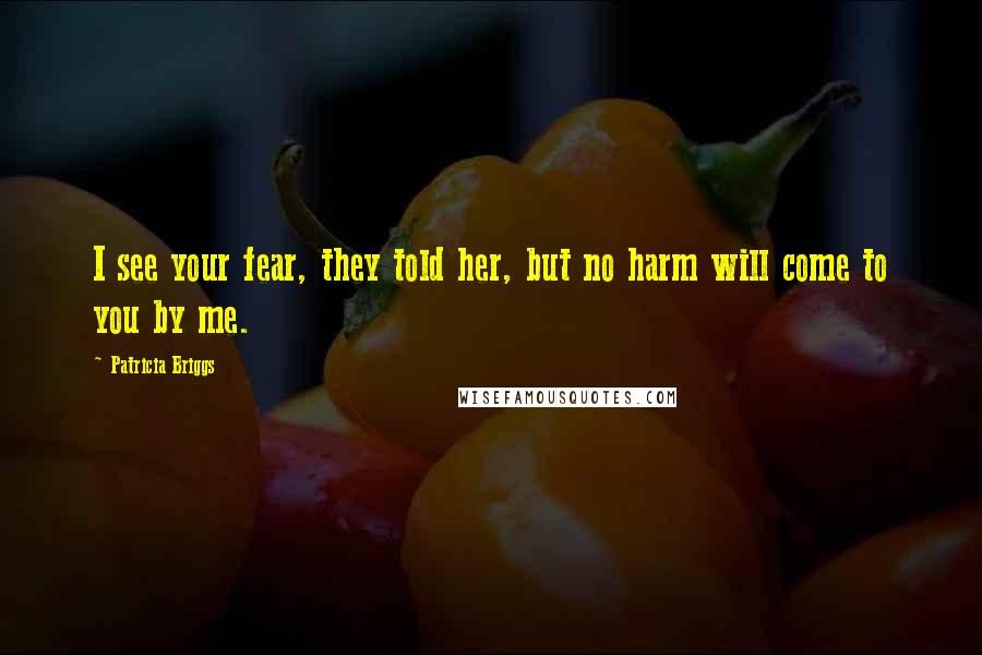 Patricia Briggs Quotes: I see your fear, they told her, but no harm will come to you by me.