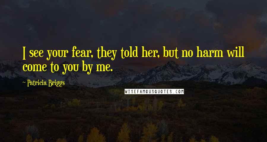 Patricia Briggs Quotes: I see your fear, they told her, but no harm will come to you by me.