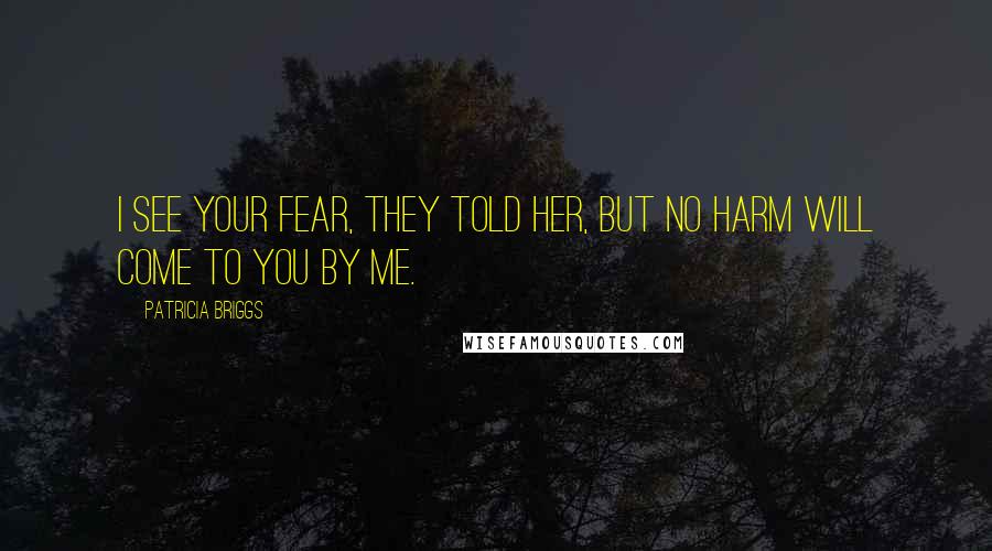 Patricia Briggs Quotes: I see your fear, they told her, but no harm will come to you by me.