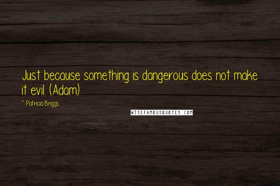 Patricia Briggs Quotes: Just because something is dangerous does not make it evil. (Adam)