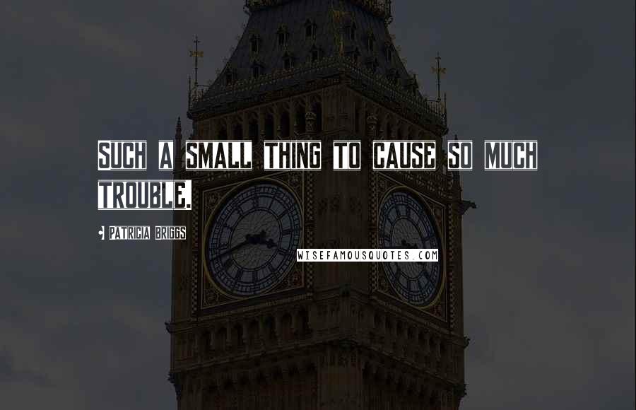 Patricia Briggs Quotes: Such a small thing to cause so much trouble.