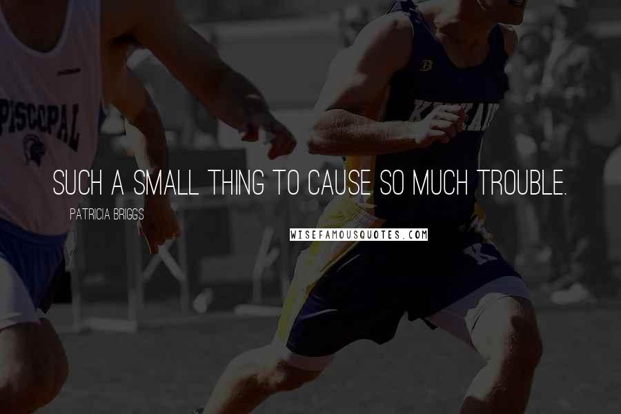 Patricia Briggs Quotes: Such a small thing to cause so much trouble.