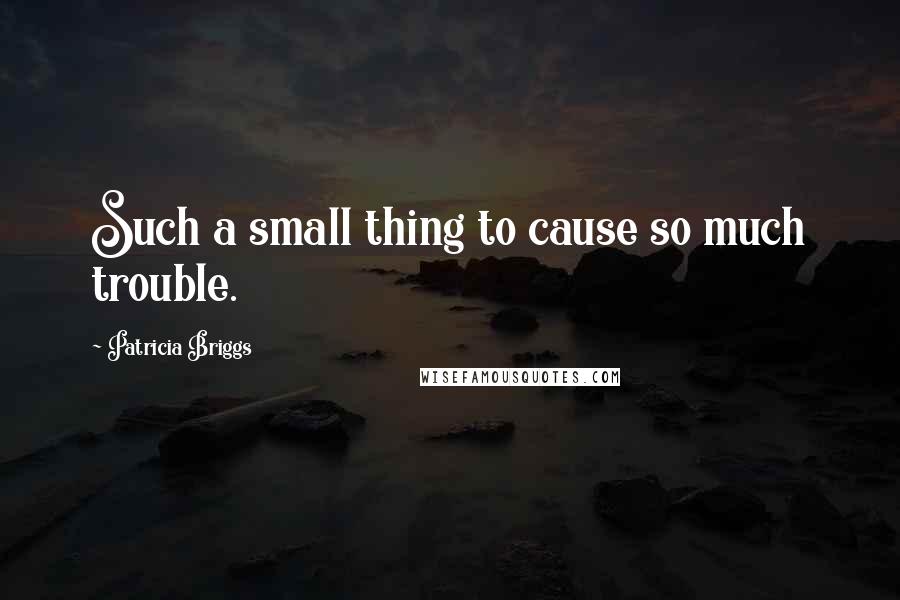 Patricia Briggs Quotes: Such a small thing to cause so much trouble.