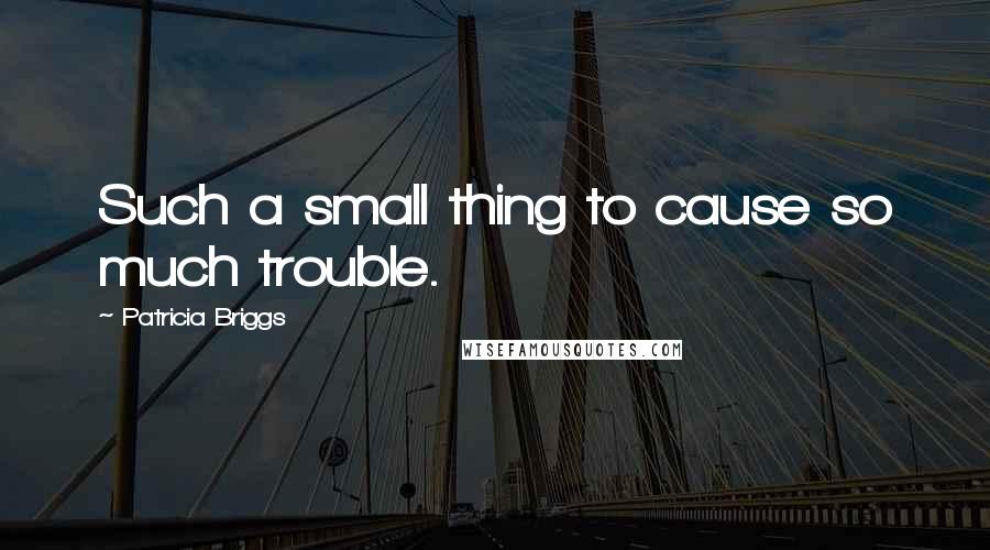 Patricia Briggs Quotes: Such a small thing to cause so much trouble.