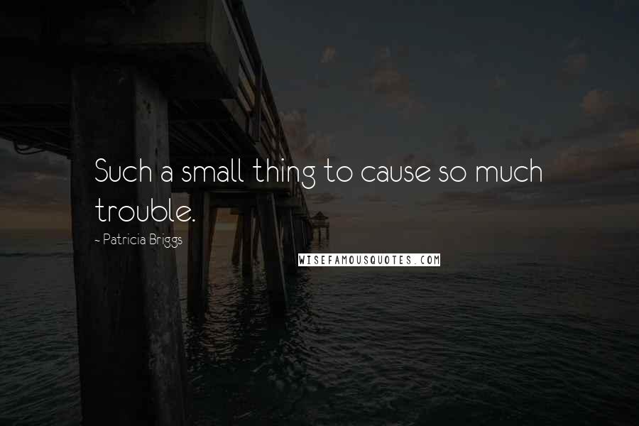 Patricia Briggs Quotes: Such a small thing to cause so much trouble.